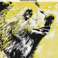 Foi d'animal, Tome 3: Mémoire d'ours